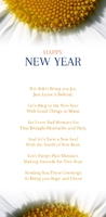Año nuevo - 02